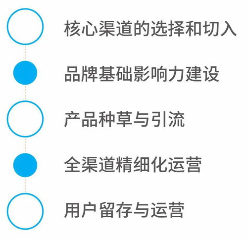 好產品互聯(lián)網營銷攻略 從品質到流量的全方位打法